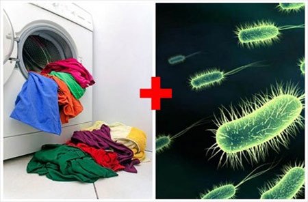 Máy giặt là môi trường có thể lây bệnh