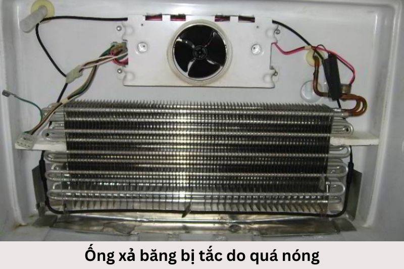 Tủ_lạnh_Samsung_bị_rò_rỉ_nước_do_cân_bằng_không_đúng_cách_(1).jpg (75 KB)